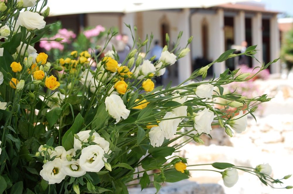 Masseria La Grande Quercia Hotel Mottola Exterior photo